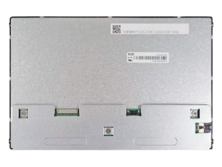 EV101WXM-N81